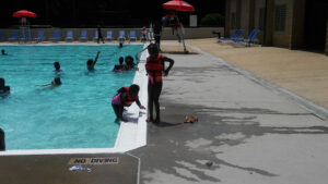 Adams Park Swimming Pool