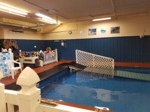Alaska K9 Aquatics