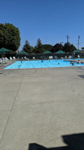 Alta Pool