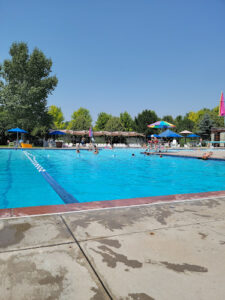 Aviator Pool