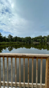 Backyard Oasis Maintained by Saxon