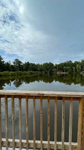 Backyard Oasis Maintained by Saxon