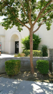 Baldwin Park Aquatic Center