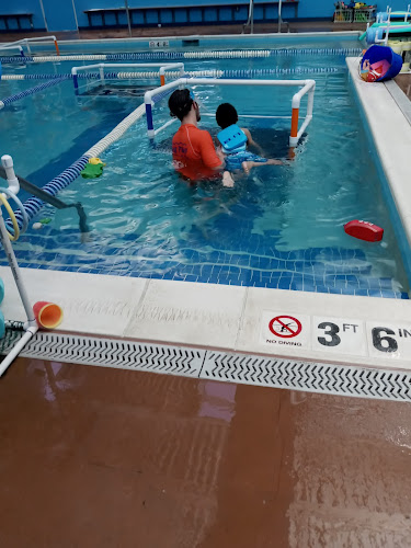 Bear Paddle Swim School – Louisville