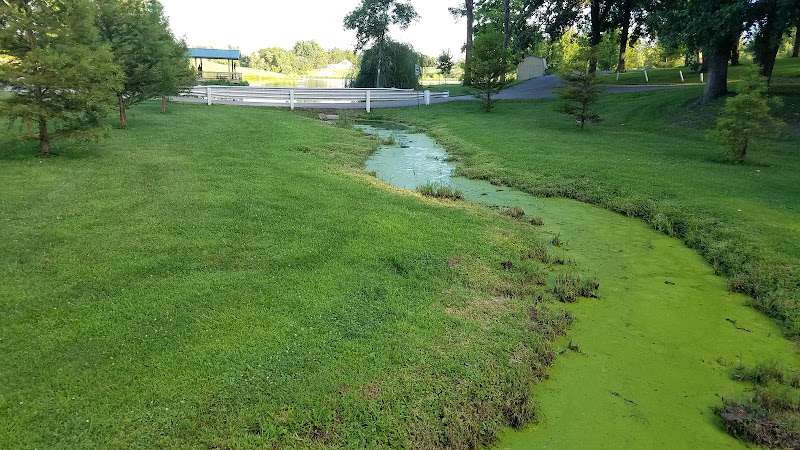 Bedford Pool