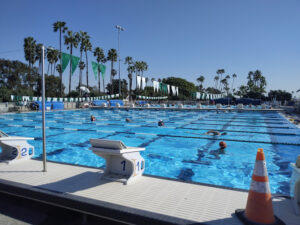 Belmont Plaza Pool