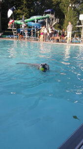 Bexley Pool