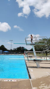 Birdland Pool