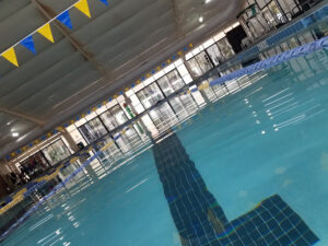 Bluffton Pool