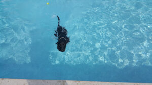 Buffalo Center Swimming Pool