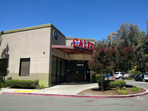 Calphin Swim Academy