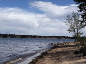 Chatfield Park Swimbeach