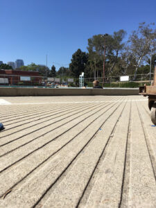 Cheviot Hills Pool