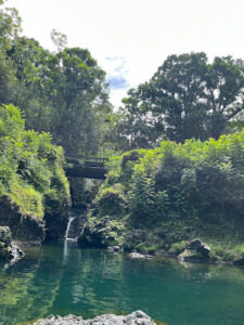 Ching’s Pond