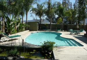 Colleen’s Swim School