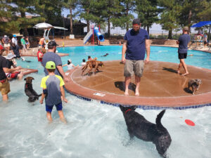 Countryside Outdoor Pool