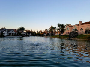 Creekside Lake