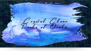 Crystal Clear Pools of Ocala