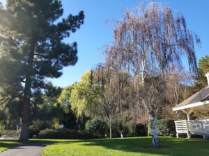 Danville Station HOA