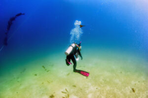Deep Blue Scuba & Swim Center