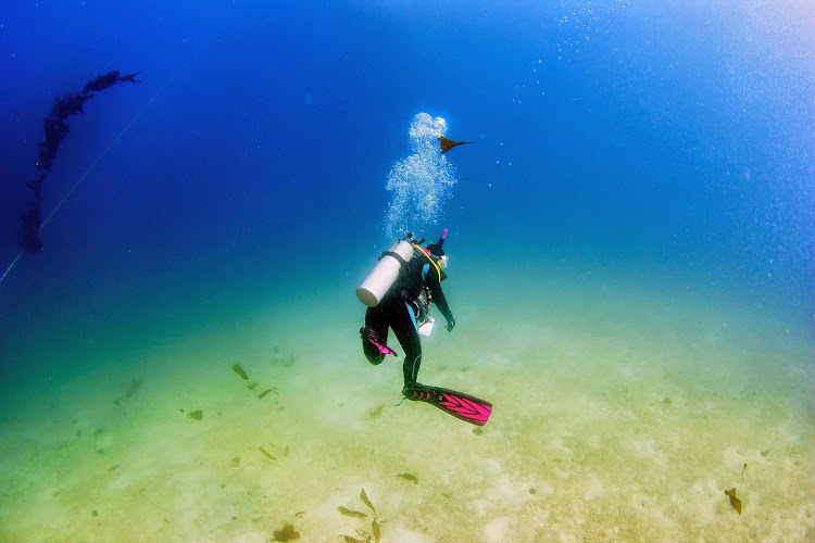 Deep Blue Scuba & Swim Center
