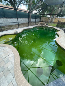 Economy Pool Orlando