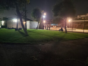 Elder Park Pool