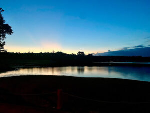 Elkins Lake Olympic Pool