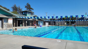 Farrelly Pool