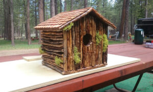 Feather River RV and Mobile Home Park