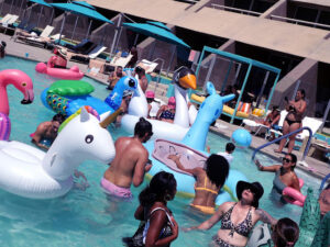 Flamingo Pool Party