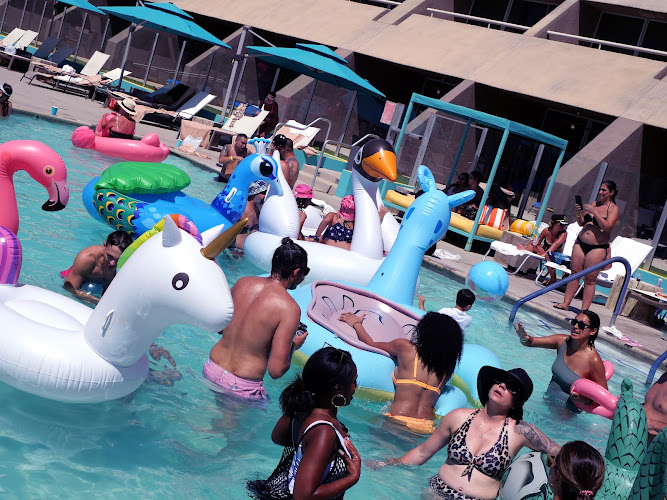 Flamingo Pool Party