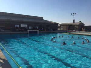 Freedom Swimming Pool