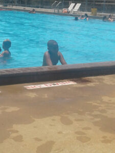 Fun Forest Pool