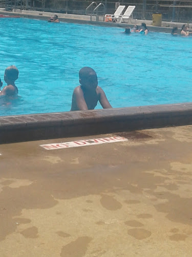 Fun Forest Pool