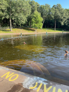 Globe Hollow Swimming Area