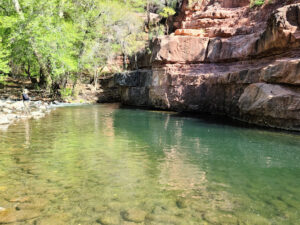 Grasshopper Point Swimming & Picnic Area