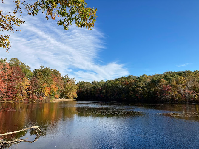 Green Fall Pond Swimming Area