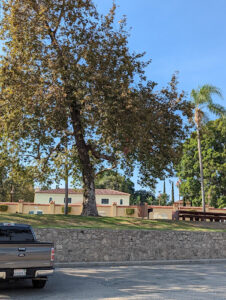 Hart Park Swimming Pool