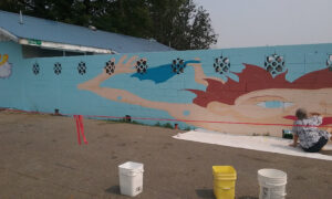 Hayfork Pool