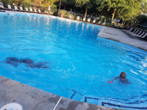 Holly Mill Pool