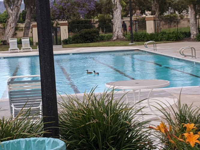 Junior Olympic park & pool