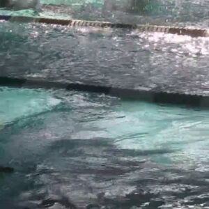 LACES Pool