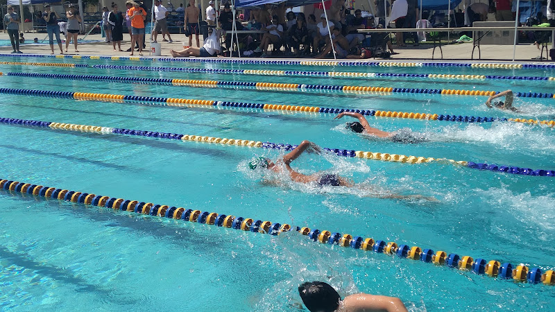 Lions Pool