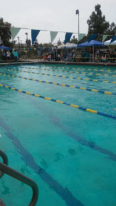 Live Oak Pool