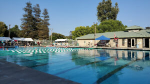 Los Flores Pool