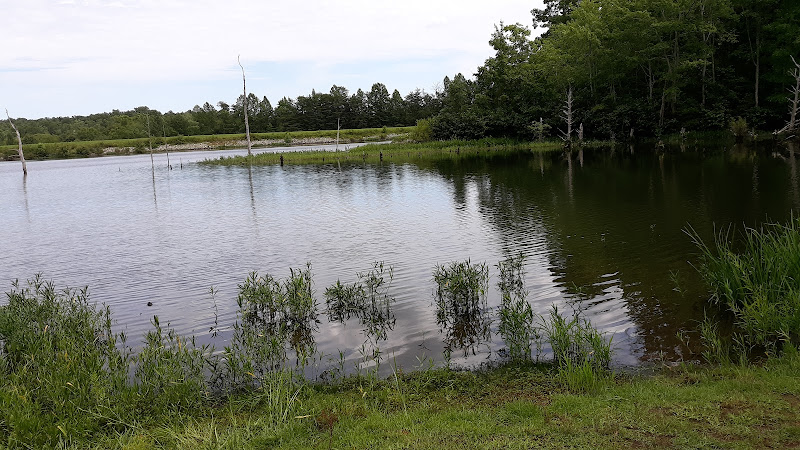 Mark Lenzi Pool at Curtis Memorial Park