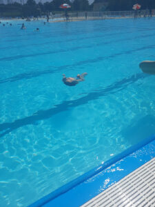 Marshall Aquatic Center