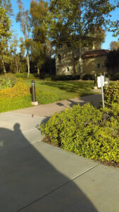 Montecito Swim Club