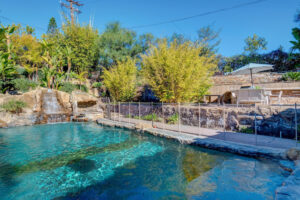 Oasis Springs Private Pool